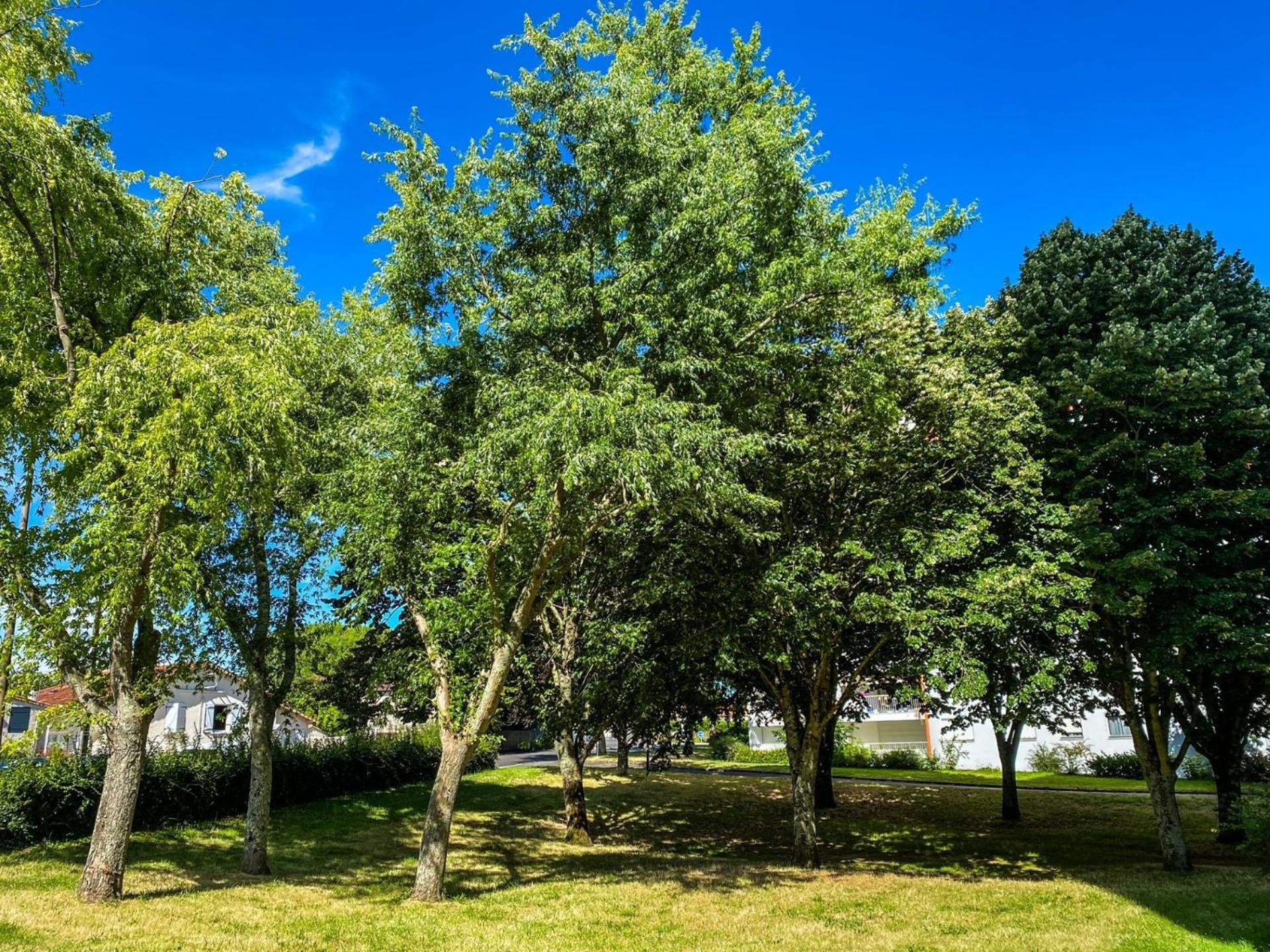 Apartamento T3 Moderne Avec Balcon Terrasse Et Parking Gratuit Niort Exterior foto